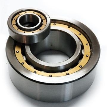 N 309 ECP SKF цилиндрический роликовый подшипник,материал из углеродистой стали, 45X100X25MM поставщик